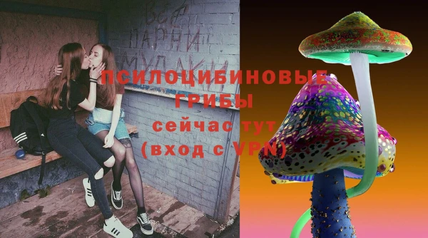 тгк Няндома