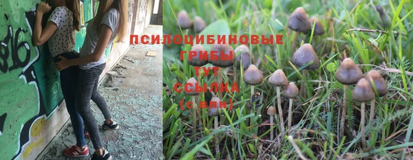 спайс Новозыбков