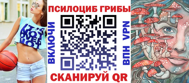 наркота  Нолинск  Псилоцибиновые грибы MAGIC MUSHROOMS 